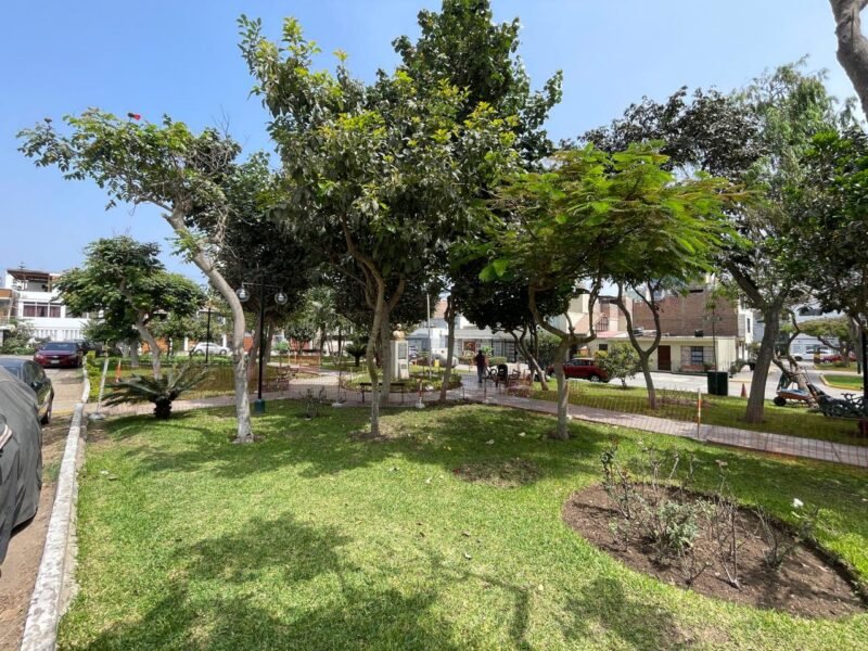 Tranquilidad y Naturaleza | Dpto. 54 m² en Esquina Frente a Parque | 2 Dorm. | Estacionamiento