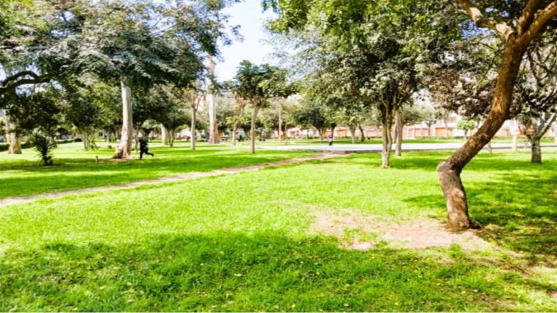 Departamento Piso 7 con Ascensor y Pet Friendly, con 3 Dorm. en Venta o Alquiler en Mayorazgo